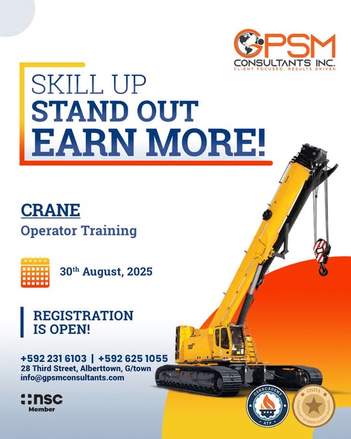 GPSM Consultants Inc.